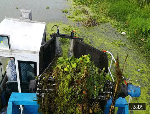 Small Fully Automatic Weed Harvester