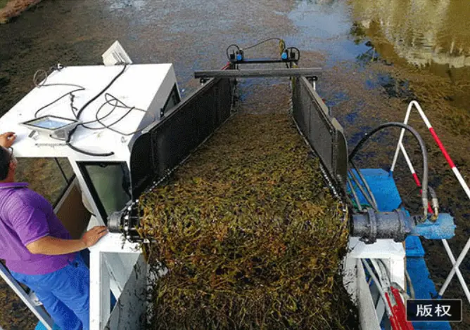 Large Fully Automatic Weed Harvester